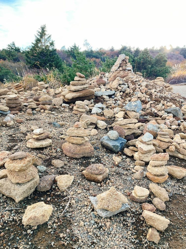 猫なぎ。さんが投稿した刈田岳に関する口コミの画像
