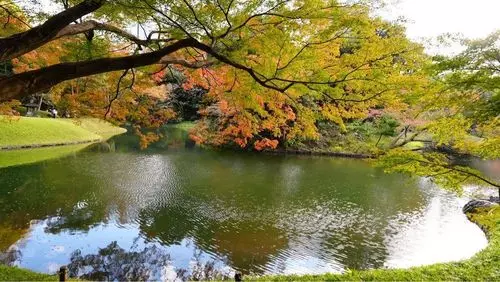 神田上水跡（小石川後楽園）