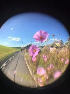 なんば一番 たこすけ