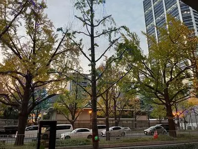 難波神社