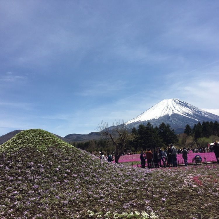 こまささんが投稿した画像の画像