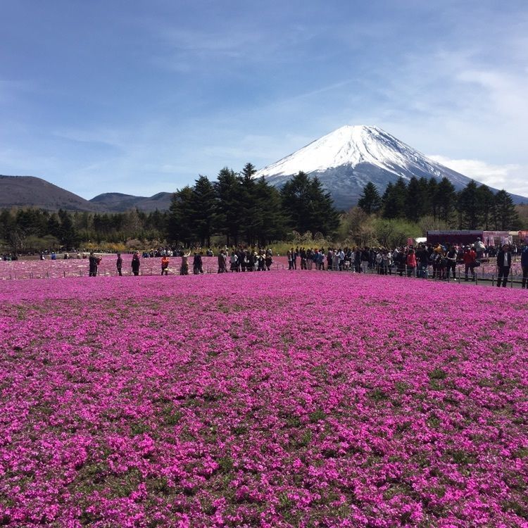 こまささんが投稿した画像の画像