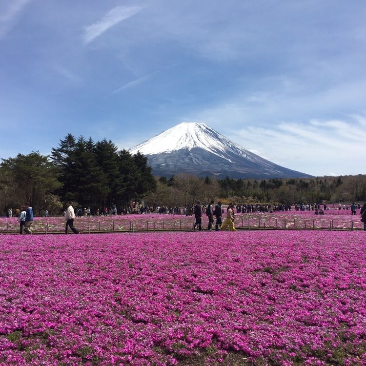 こまささんが投稿した画像の画像