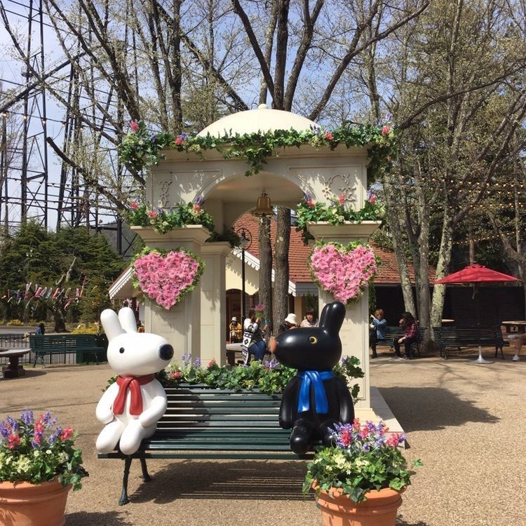 こまささんが投稿した画像の画像