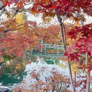 禅林寺永観堂の紅葉