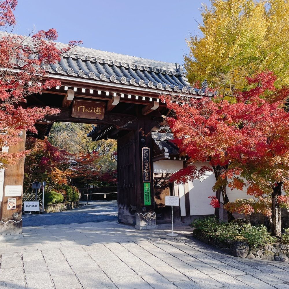 Danjouさんが投稿した禅林寺永観堂の紅葉に関する口コミの画像