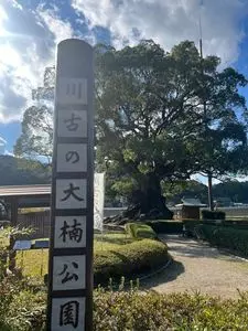 ちりれんげ