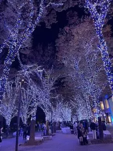 グランモール公園