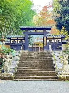 長泉院