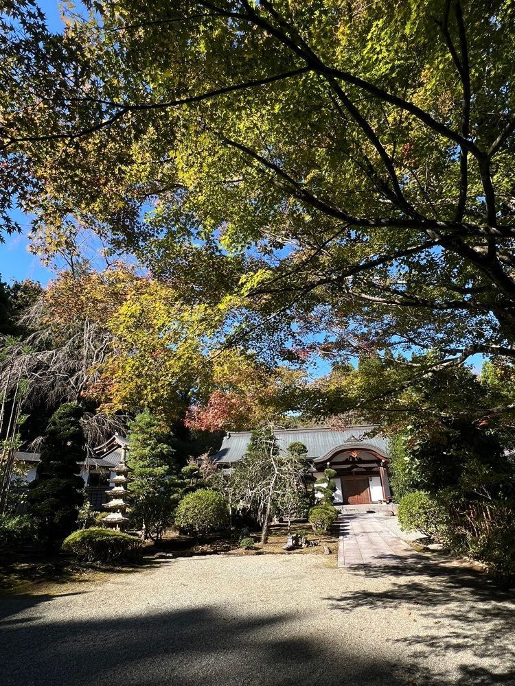 ビンカさんが投稿した長泉院に関する口コミの画像