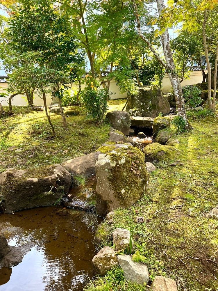 ビンカさんが投稿した上関山　極楽寺に関する口コミの画像