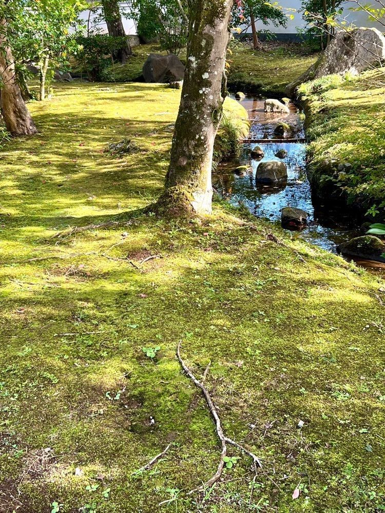 ビンカさんが投稿した上関山　極楽寺に関する口コミの画像