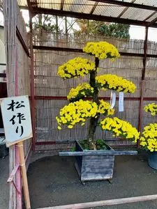 ながめ公園