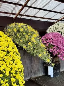 ながめ公園