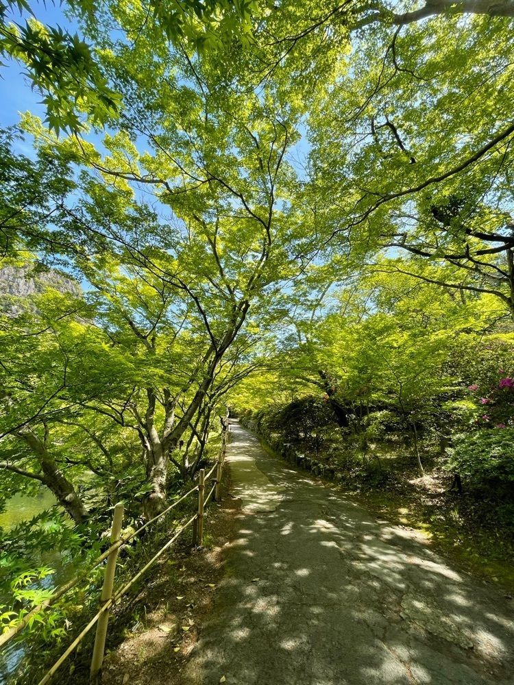 surumeさんが投稿した御船山楽園のツツジに関する口コミの画像