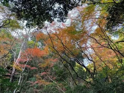 白馬渓