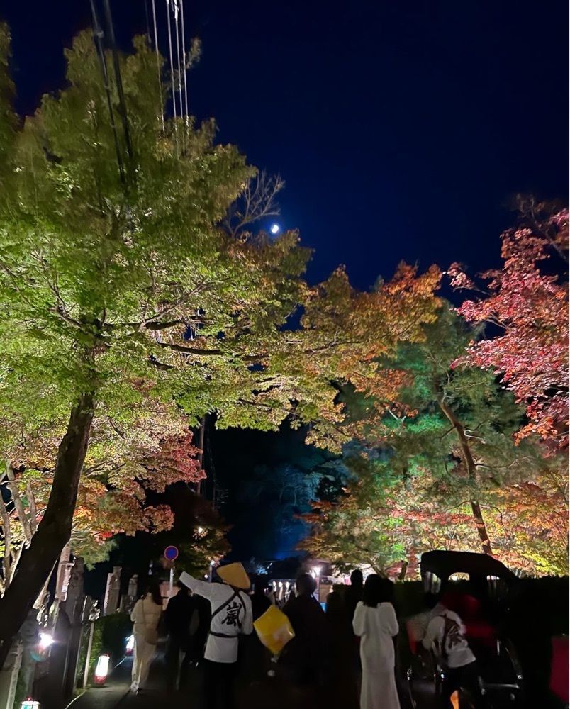 pyonpyono3さんが投稿した宝厳院に関する口コミの画像