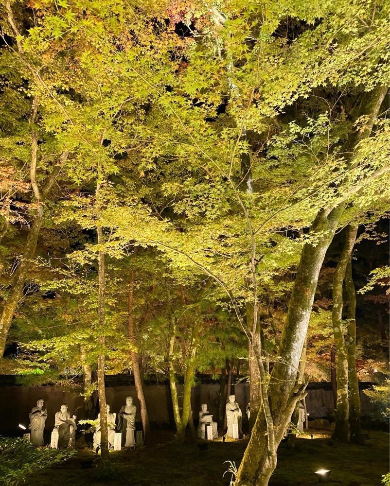 pyonpyono3さんが投稿した宝厳院に関する口コミの画像