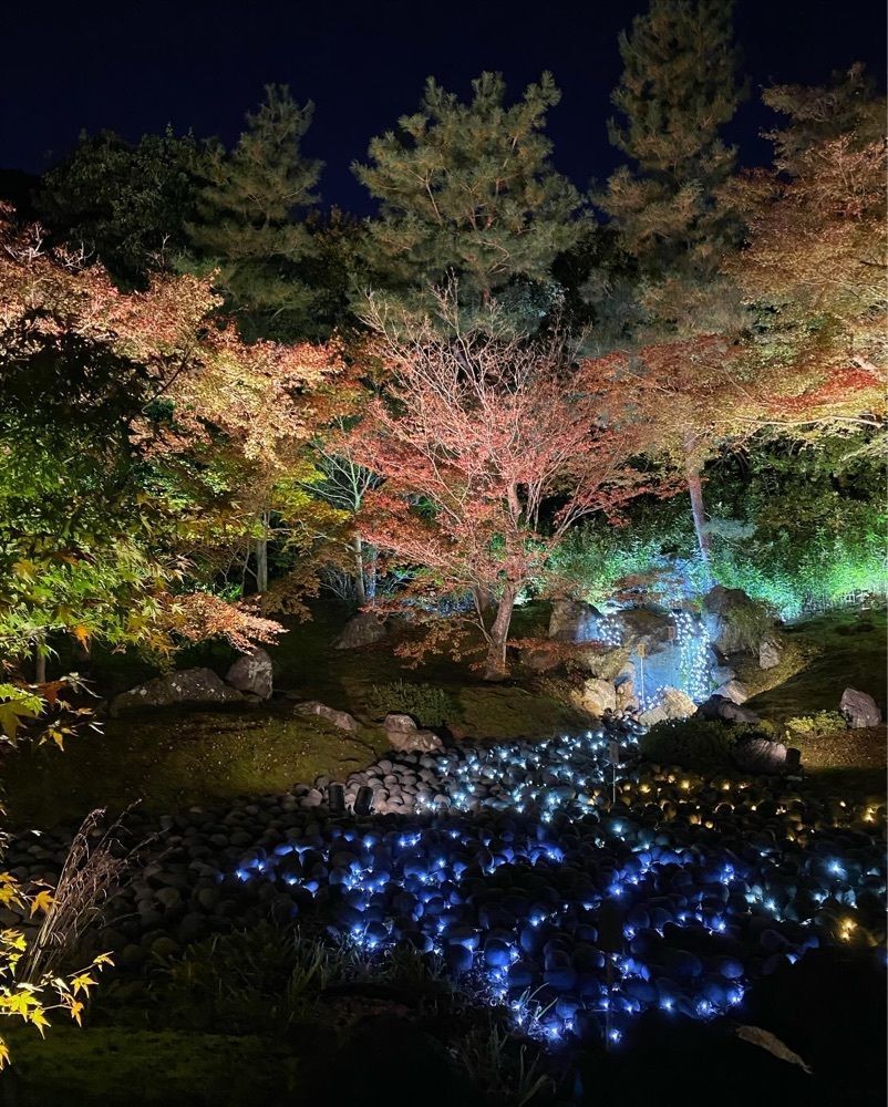 pyonpyono3さんが投稿した宝厳院に関する口コミの画像