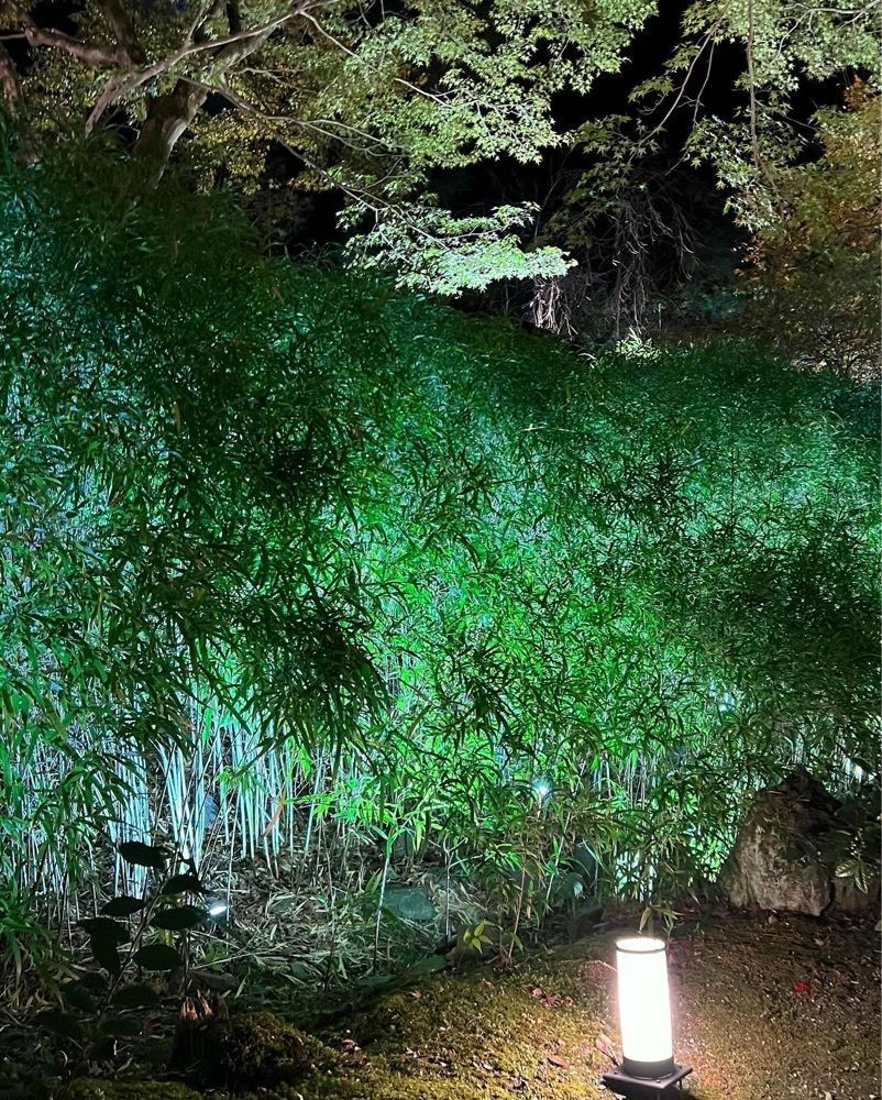 pyonpyono3さんが投稿した宝厳院に関する口コミの画像