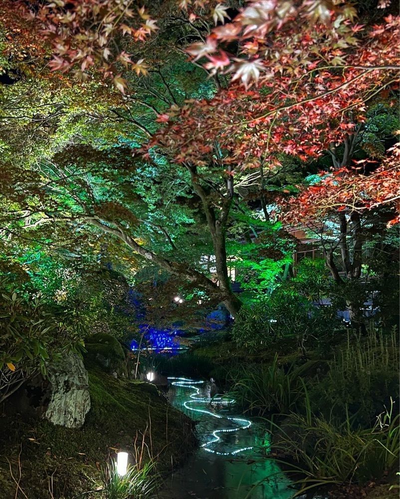 pyonpyono3さんが投稿した宝厳院に関する口コミの画像