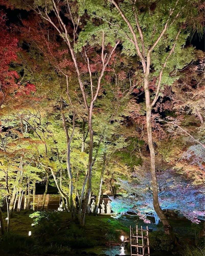pyonpyono3さんが投稿した宝厳院に関する口コミの画像