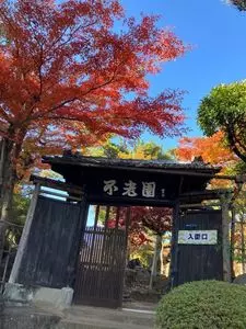 不老園の梅