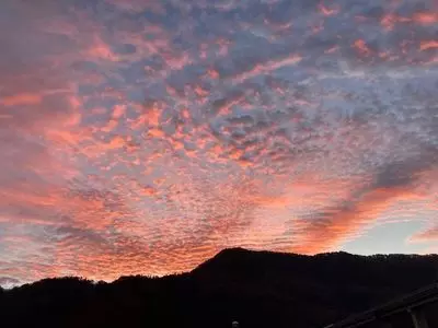 道の駅 つる