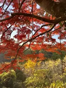 神明宮