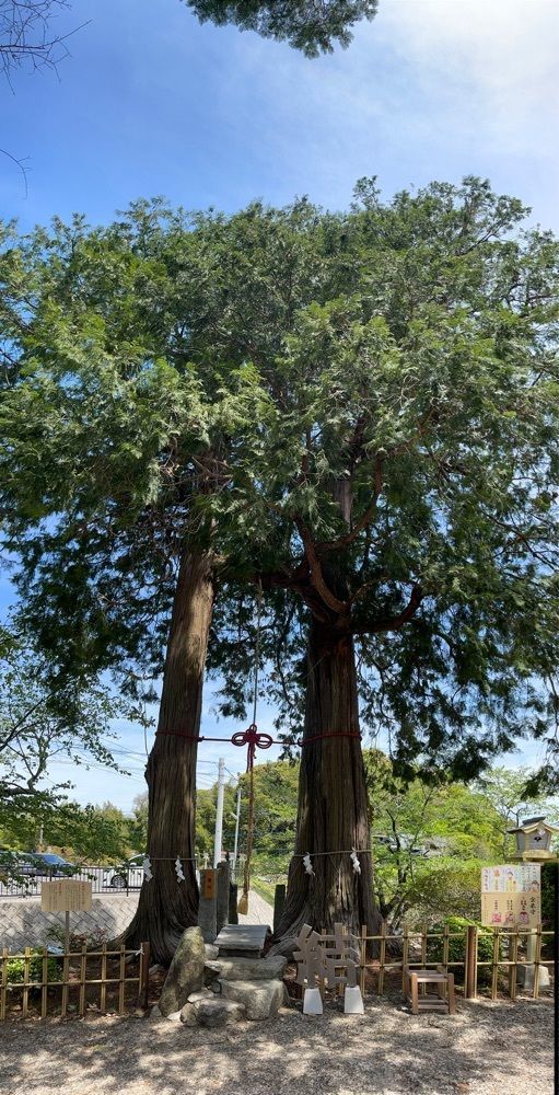 surumeさんが投稿した武雄神社の肥前鳥居に関する口コミの画像