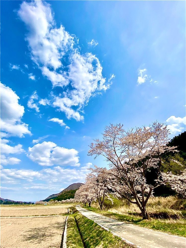 さんぴん茶さんが投稿した天栄村に関する口コミの画像