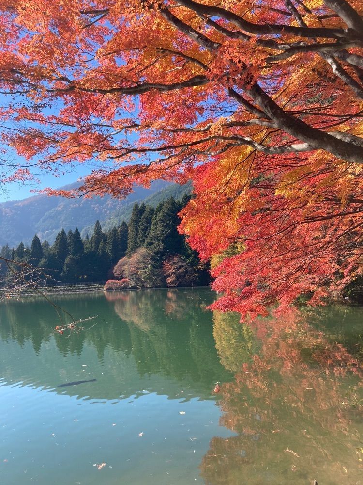 Howl Monさんが投稿したエコパ伊奈ヶ湖に関する口コミの画像