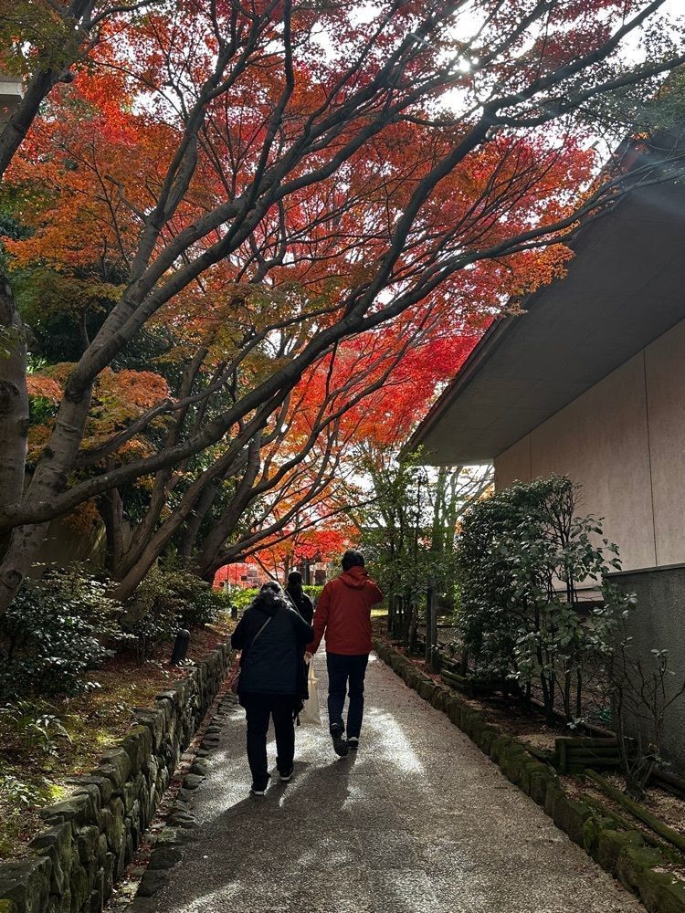 にゃんまろさんが投稿したプラザアレックス ブランチ大津京に関する口コミの画像