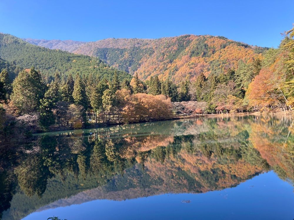 Howl Monさんが投稿したレストハウス伊奈ケ湖に関する口コミの画像