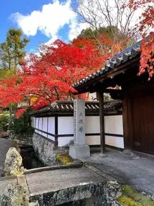 南禅寺の紅葉