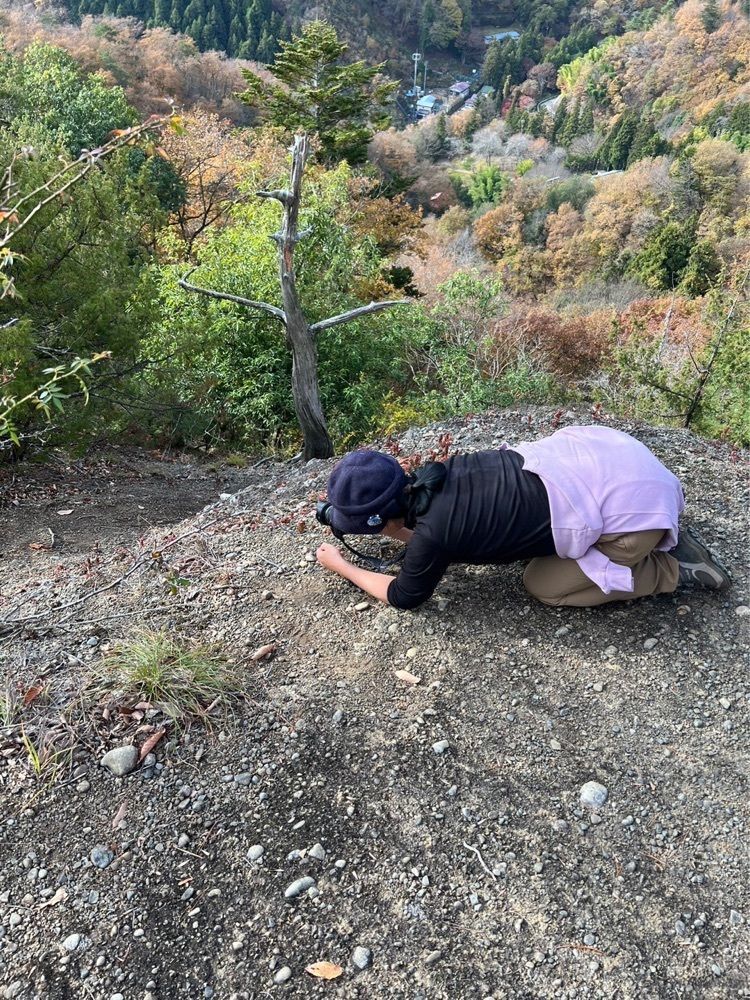 Howl Monさんが投稿した岩殿山の桜・ツツジに関する口コミの画像