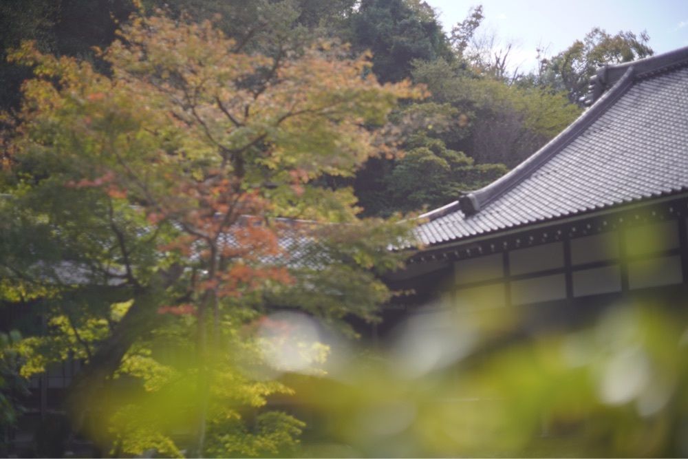nicoさんが投稿した円覚寺佛日庵（えんがくじぶつにちあん）に関する口コミの画像