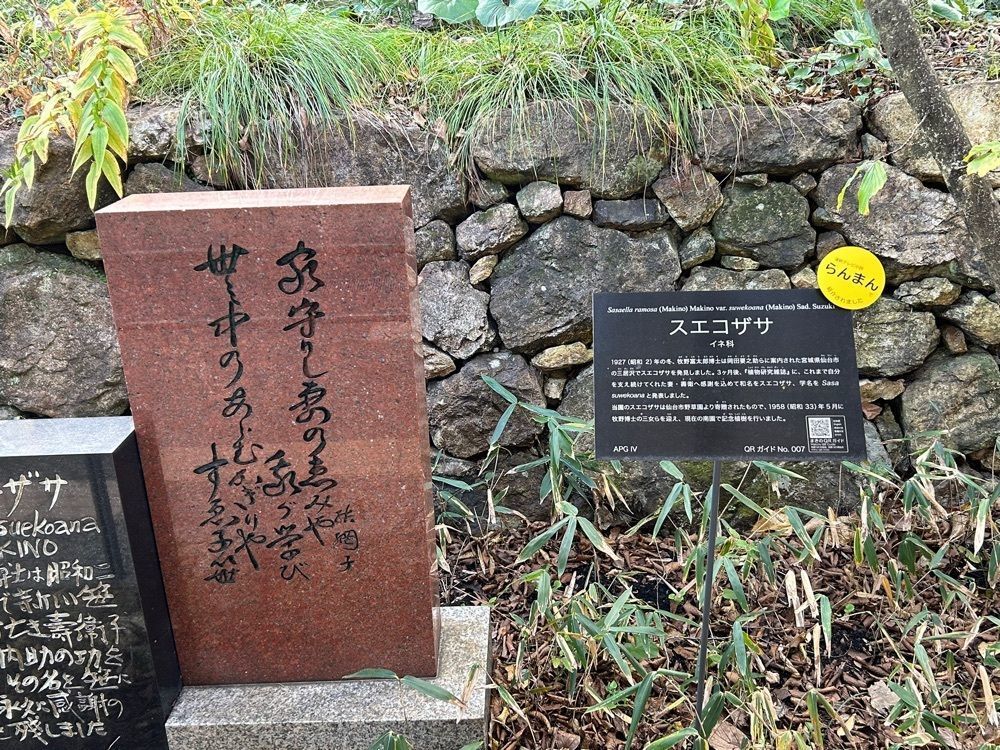 bright_sunshine_cfdeさんが投稿した牧野ミュージアムショップ サクラ（MAKINO MUSEUM SHOP SUKURA）に関する口コミの画像