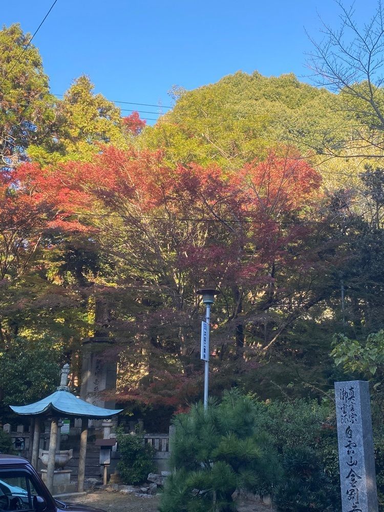 あるふぃすたさんが投稿したぶっとび亭に関する口コミの画像