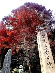 高尾山参道