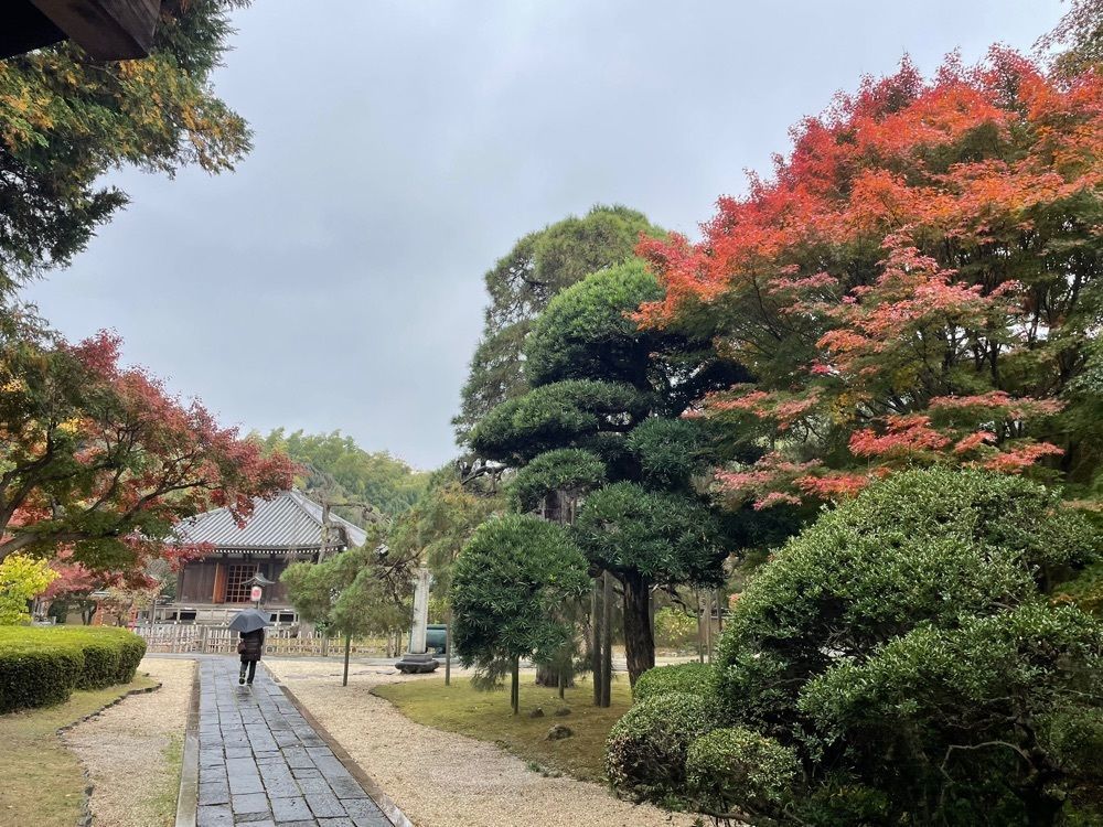 powerful_gift_4f3aさんが投稿した東漸寺に関する口コミの画像