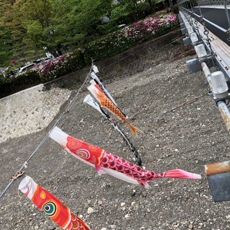 natural_driving_2b8eさんが投稿したわたらせ温泉　露天風呂お食事処に関する口コミの画像