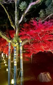 旧細川刑部邸庭園