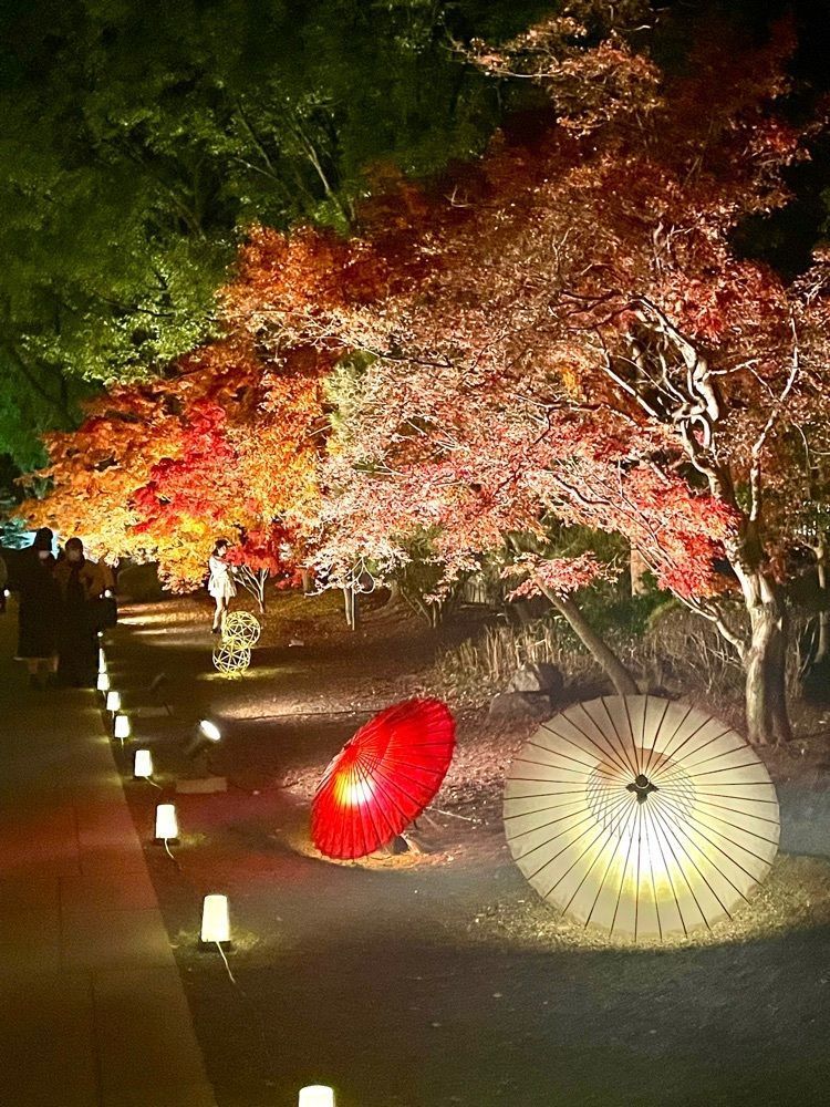 luckyさんが投稿した旧細川刑部邸庭園に関する口コミの画像