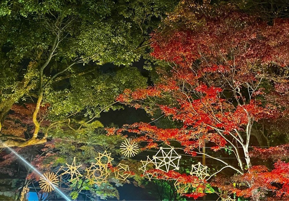 luckyさんが投稿した旧細川刑部邸庭園に関する口コミの画像
