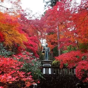 東郷公園