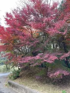 市川市動植物園 レストハウス