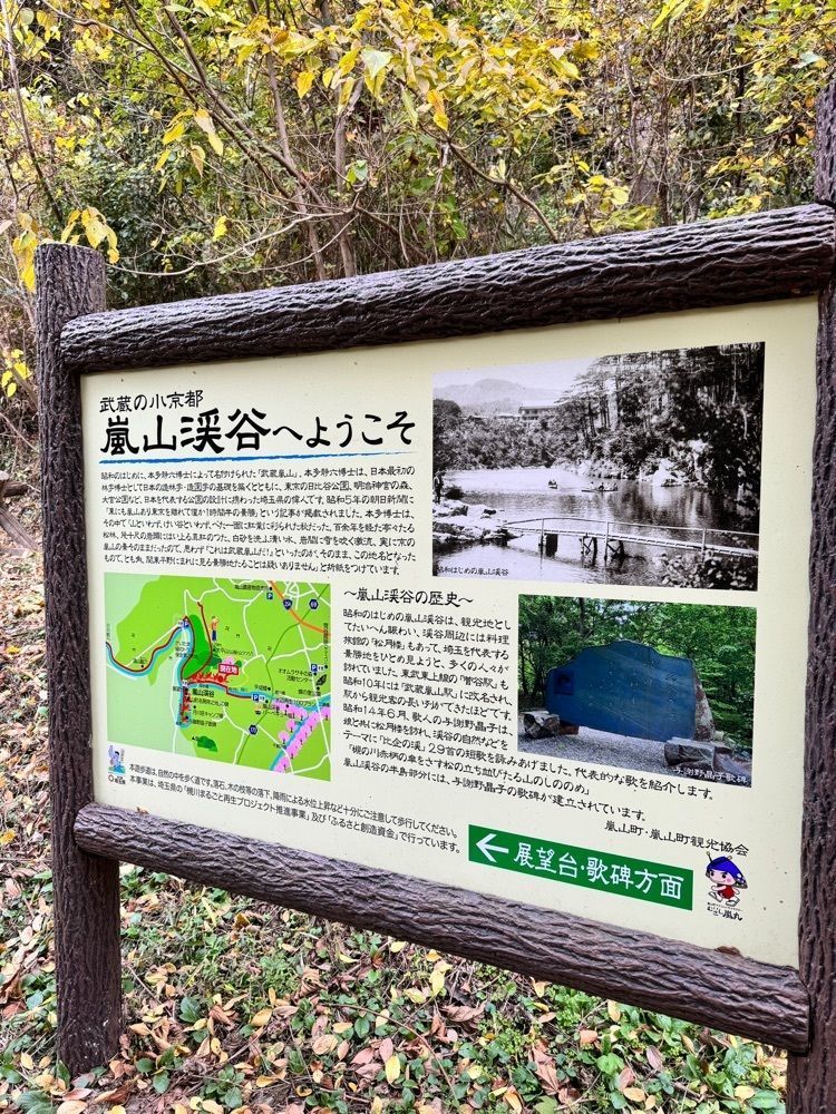 frannyさんが投稿した嵐山渓谷に関する口コミの画像