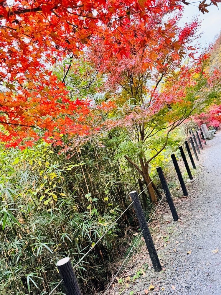 frannyさんが投稿した嵐山渓谷に関する口コミの画像