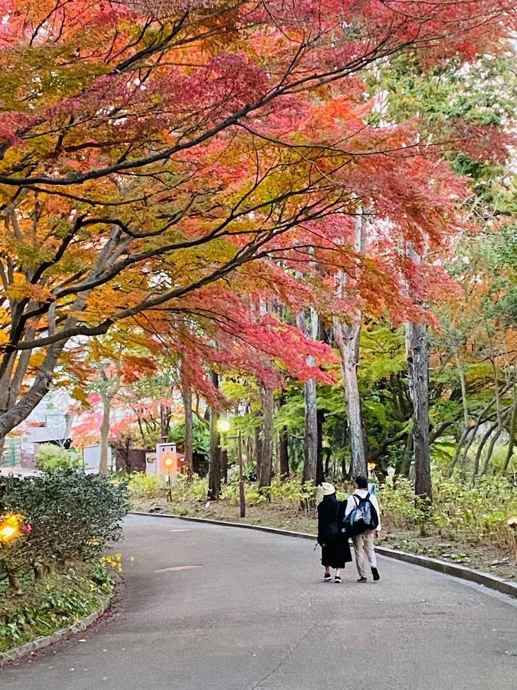 たまさんが投稿した神戸市立須磨離宮公園に関する口コミの画像